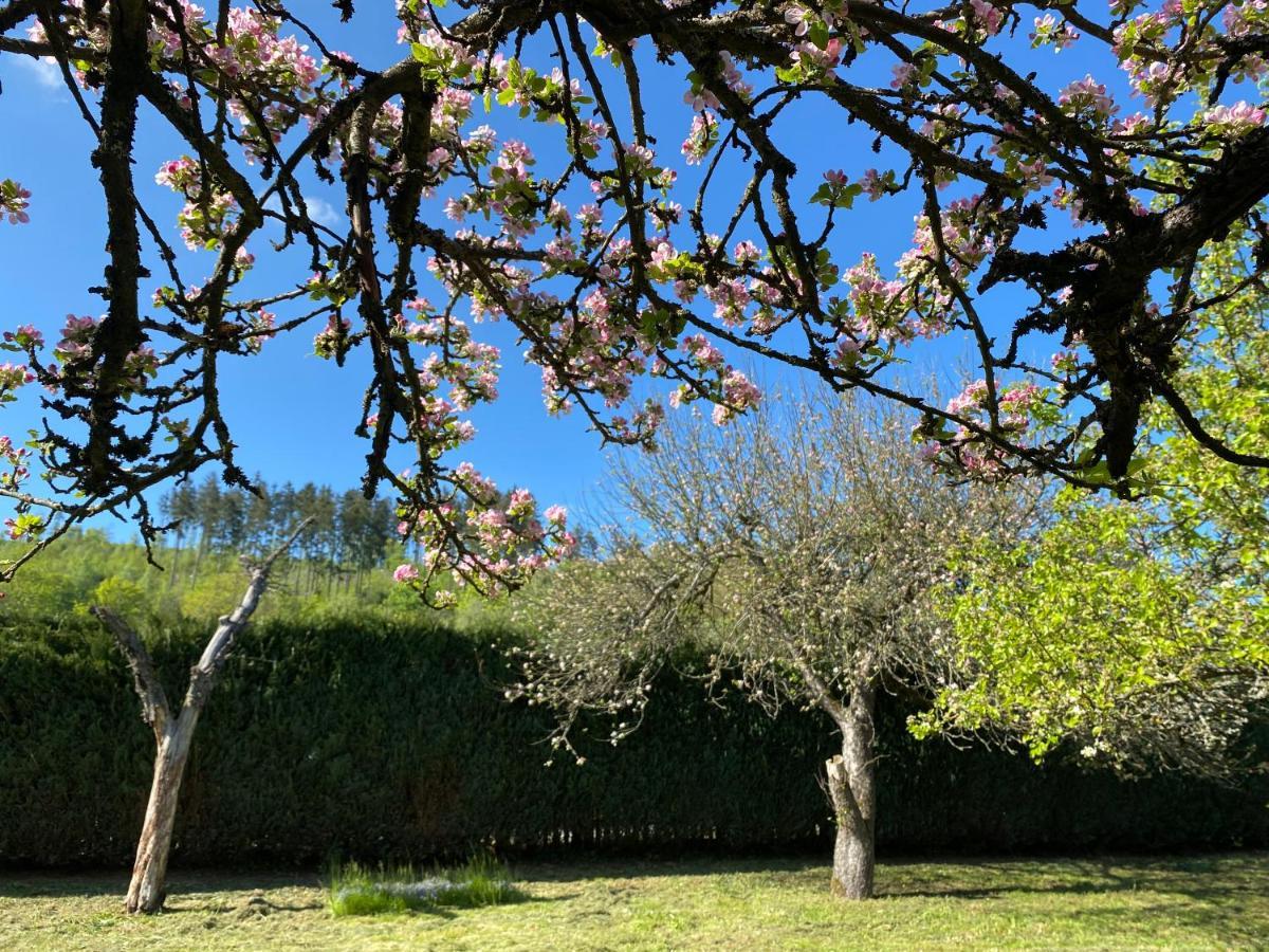 Holiday home Federleicht *